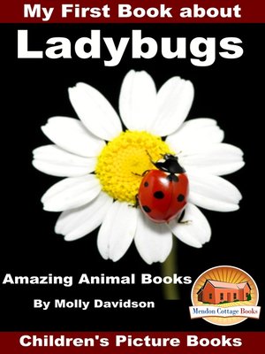 cover image of My First Book about Ladybugs